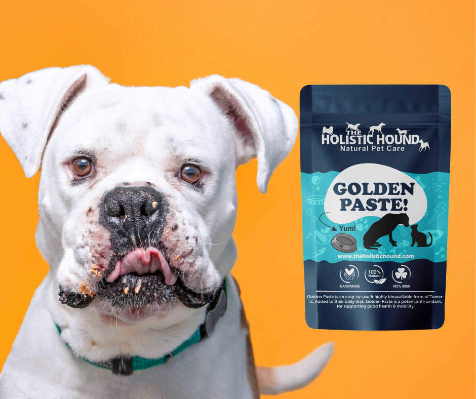 Golden Paste